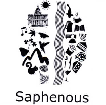 saphenous