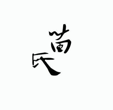  em>苗氏 /em>
