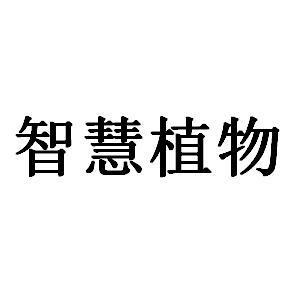 智慧植物