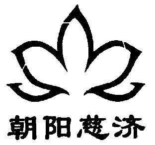  em>朝阳 /em> em>慈济 /em>