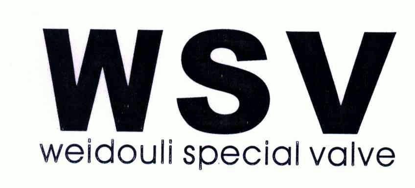 wsv weidouli special valve