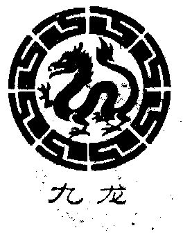 九龙                                      