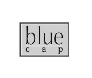 bluecap 企业商标大全 商标信息查询 爱企查