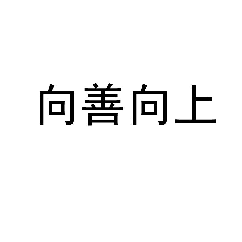 向善向上