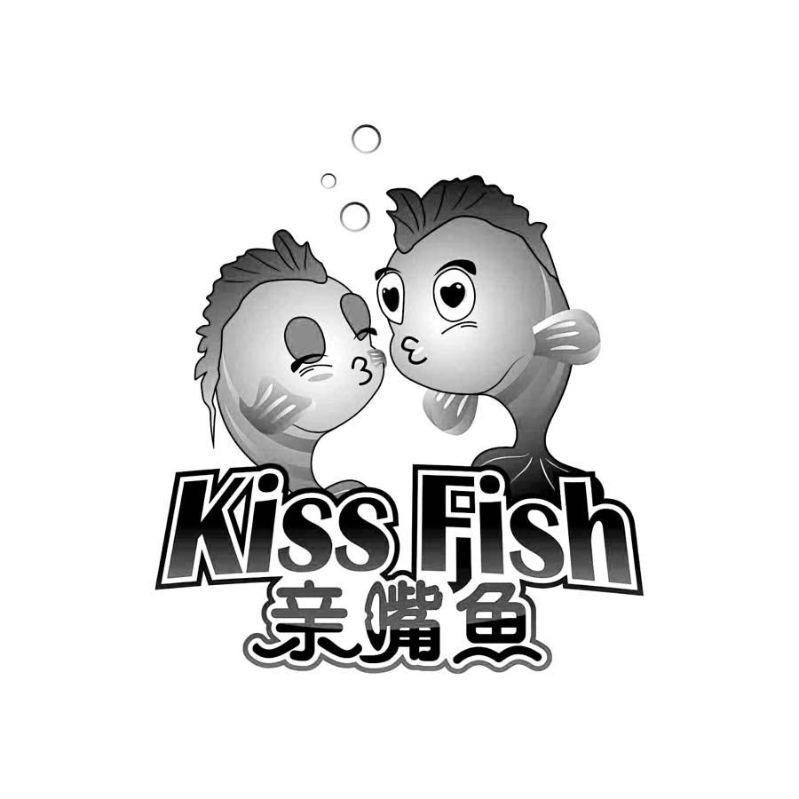 亲嘴鱼 kiss fish