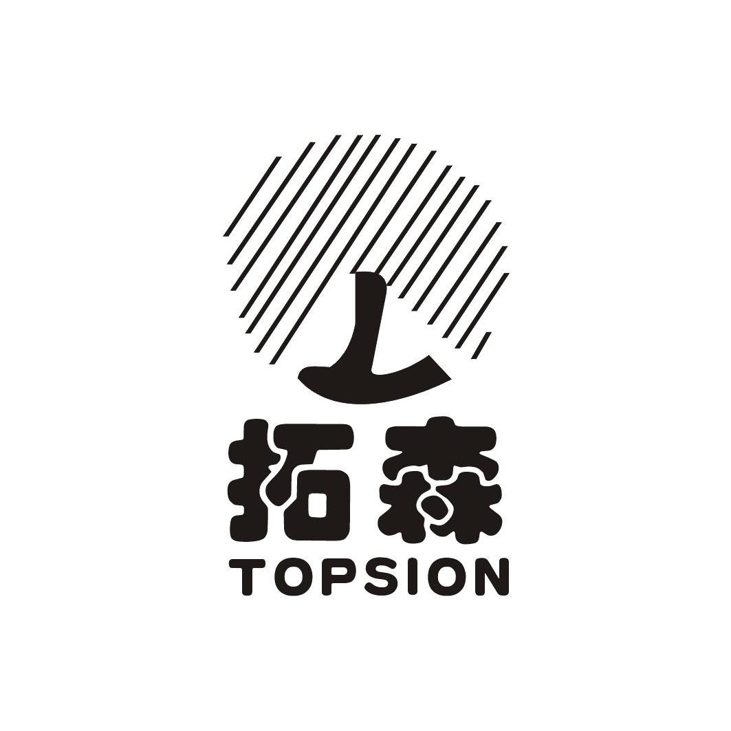 拓森 em>topsion/em>