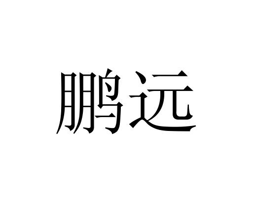 龙乘中远知识产权事务有限公司申请人:福州鹏远体育文化发展有限公司