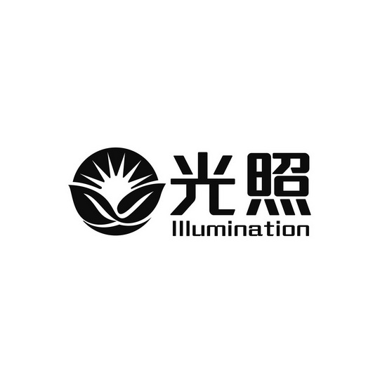  em>光照 /em> em>lllumination /em>