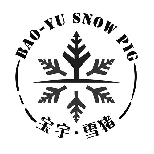 宝宇·雪猪 bao yu snow pig                