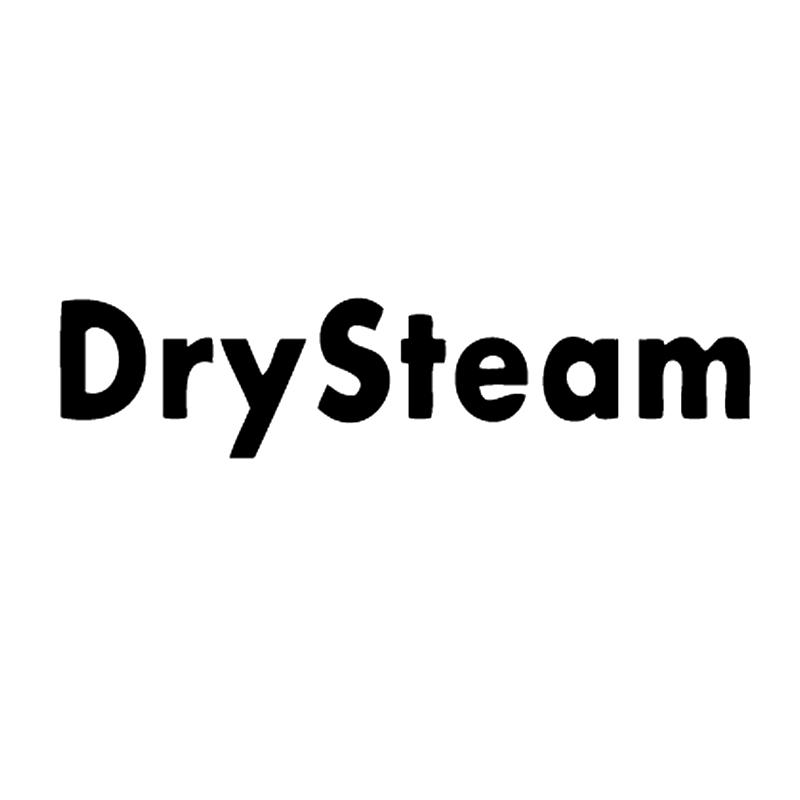  em>dry /em> em>steam /em>