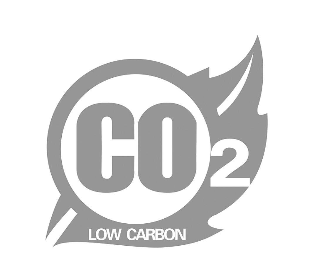 co2  em>low /em>  em>carbon /em>