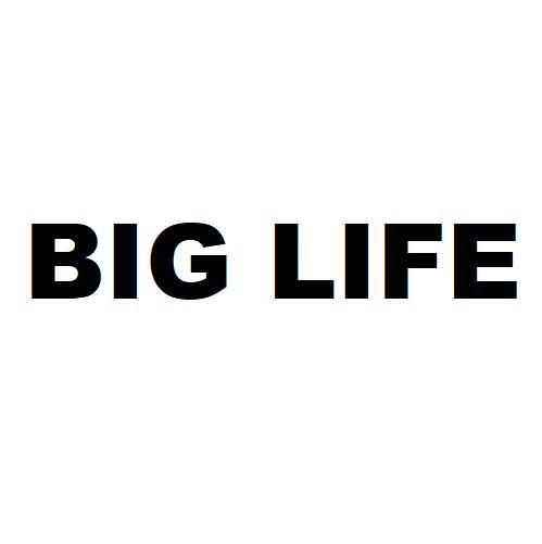 big life