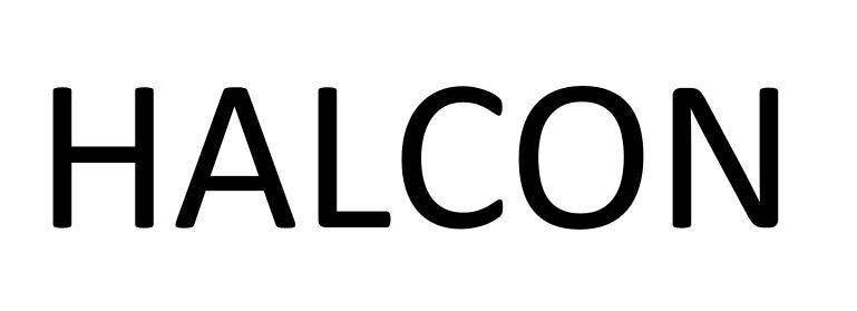  em>halcon /em>