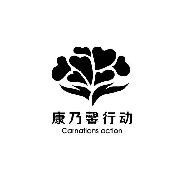  em>康乃馨 /em> em>行动 /em> carnations action