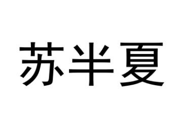 苏半夏