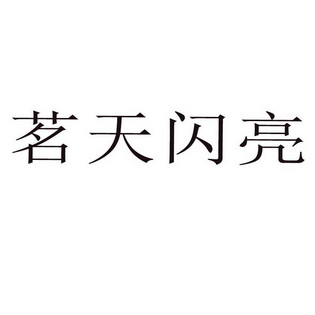 茗天闪亮商标注册申请申请/注册号:56109963申请日期
