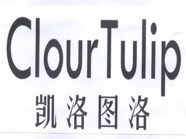 em>凯洛图洛/em clour tulip