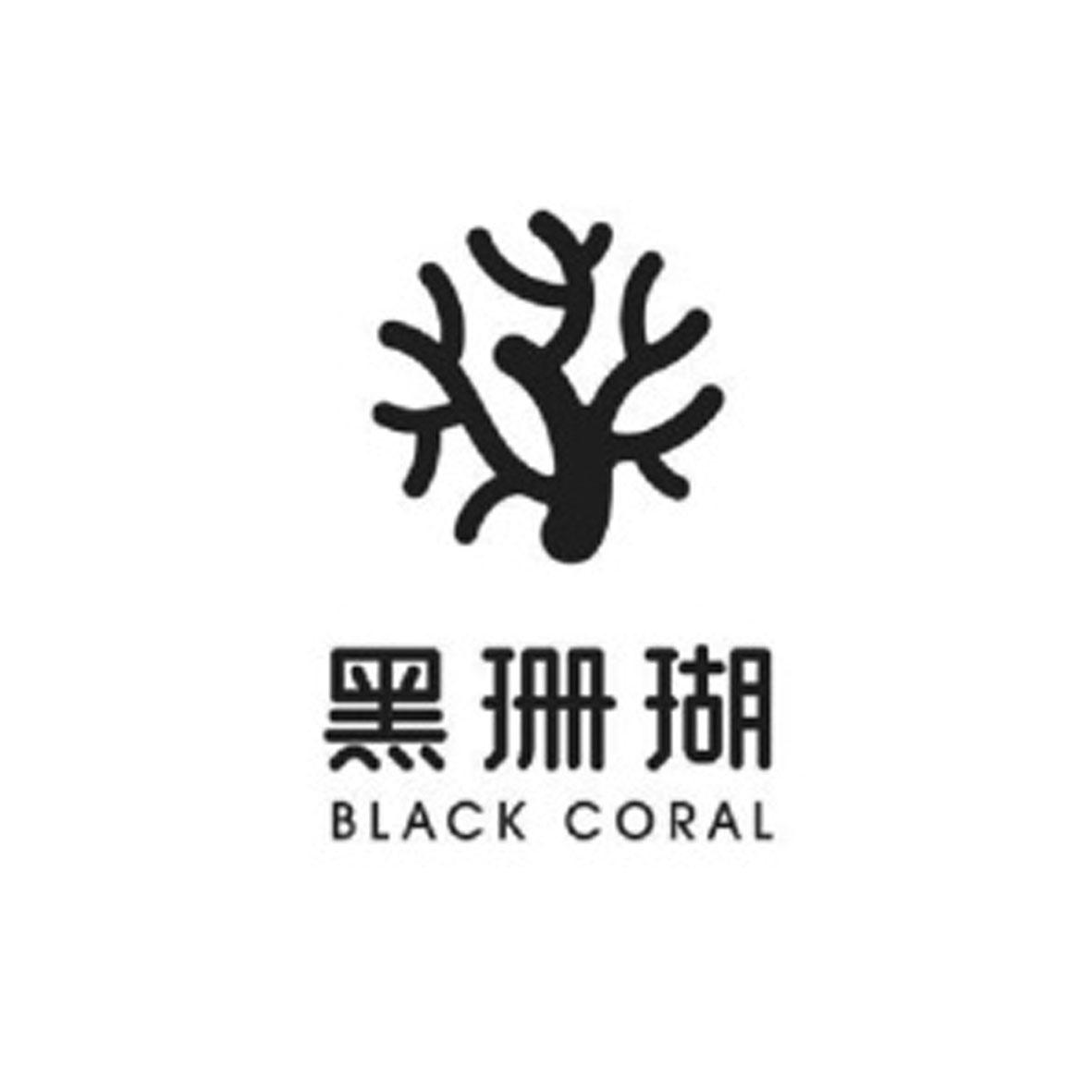  em>黑珊瑚 /em>  em>black /em>  em>coral /em>