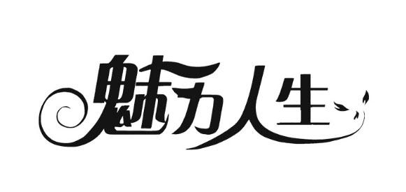 魅力人生 - 商标 - 爱企查