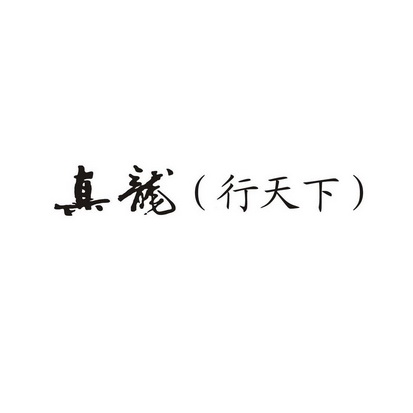 真龙(行 em>天下 /em>)