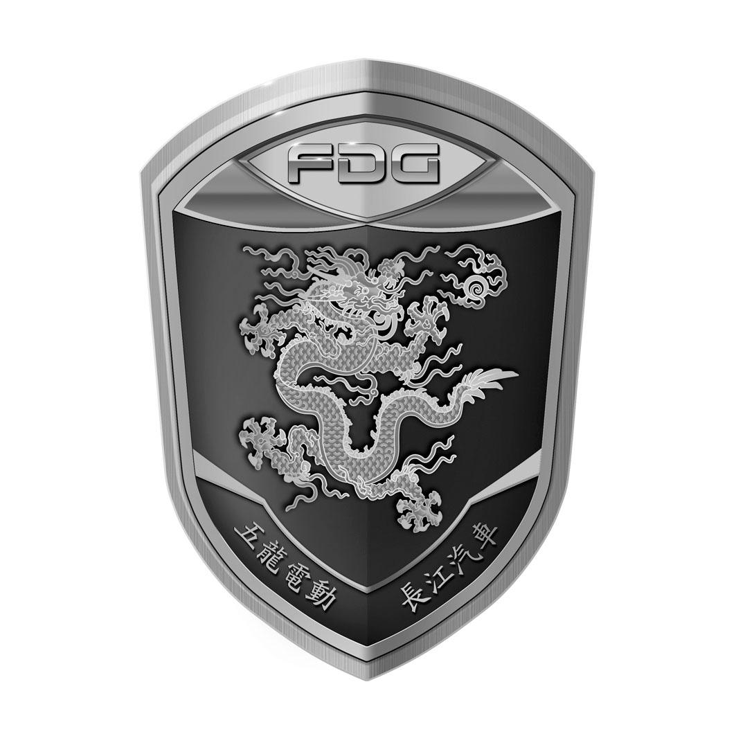 五龙电动长江汽车 fdg