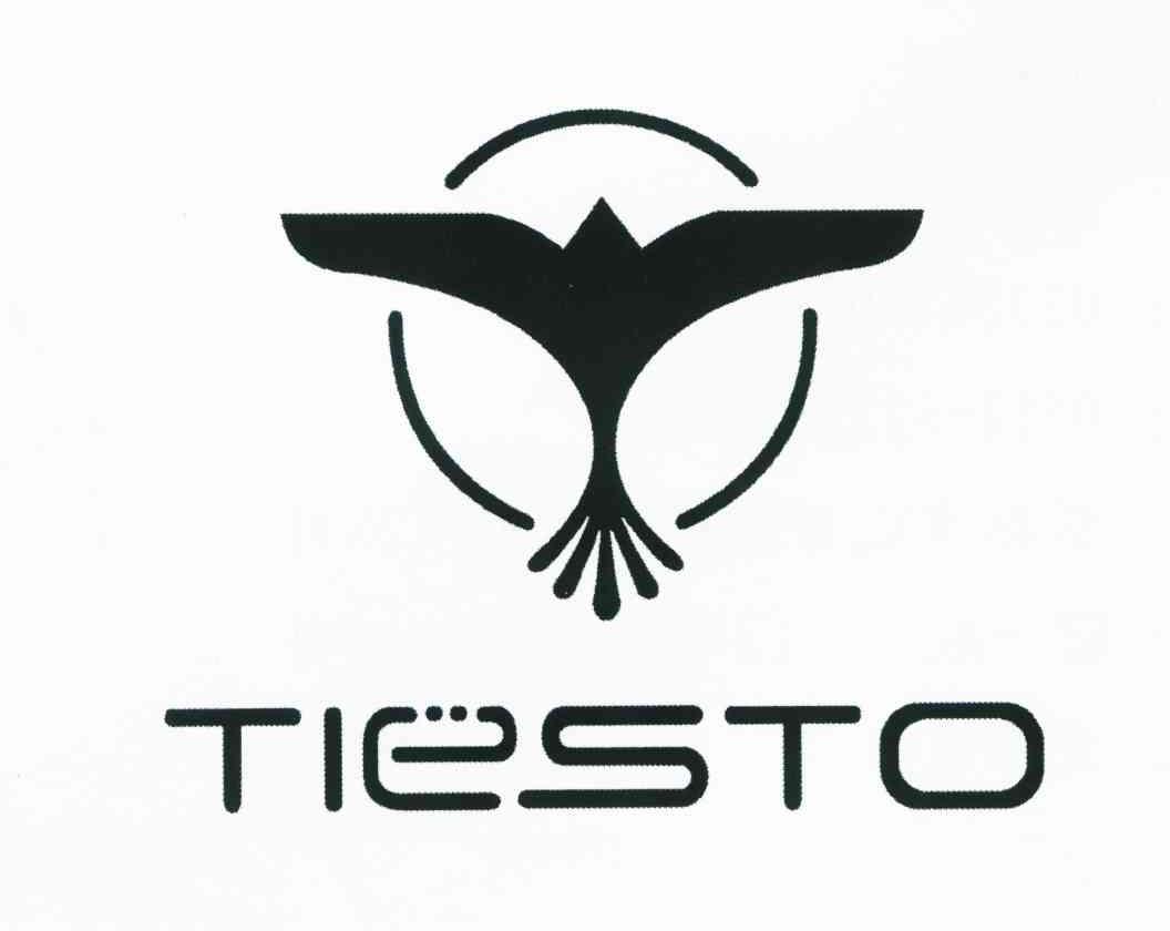 tiesto等待实质审查