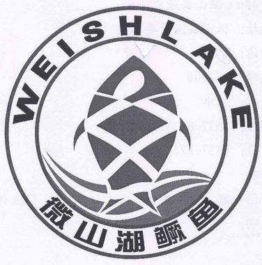  em>微山湖 /em>鳜鱼  em>weish /em> em>lake /em>