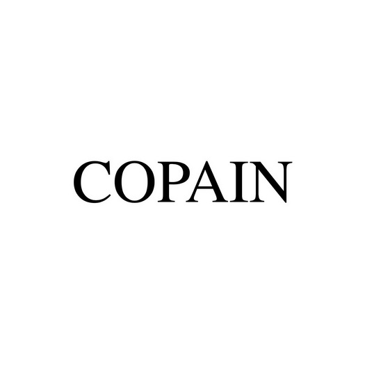  em>copain /em>