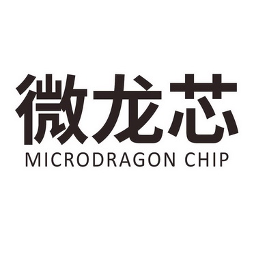 微龙芯 microdragon chip                   