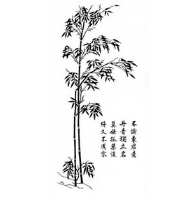 不谢东君 em>意 /em>丹青独立岩 em>莫 /em>嫌孤叶淡终久不凋零