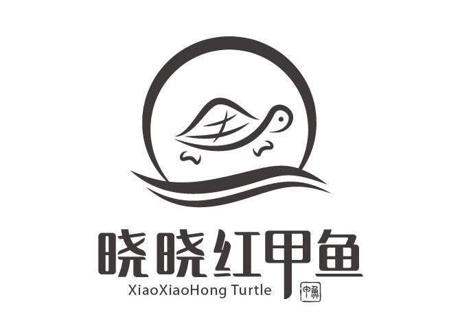 甲鱼 晓晓红甲鱼 xiaoxiaohong turtle