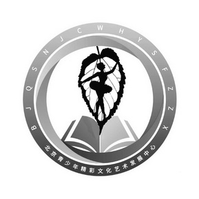 北京青少年精彩文化艺术发展中心 bjqsnjcwhysfzzx