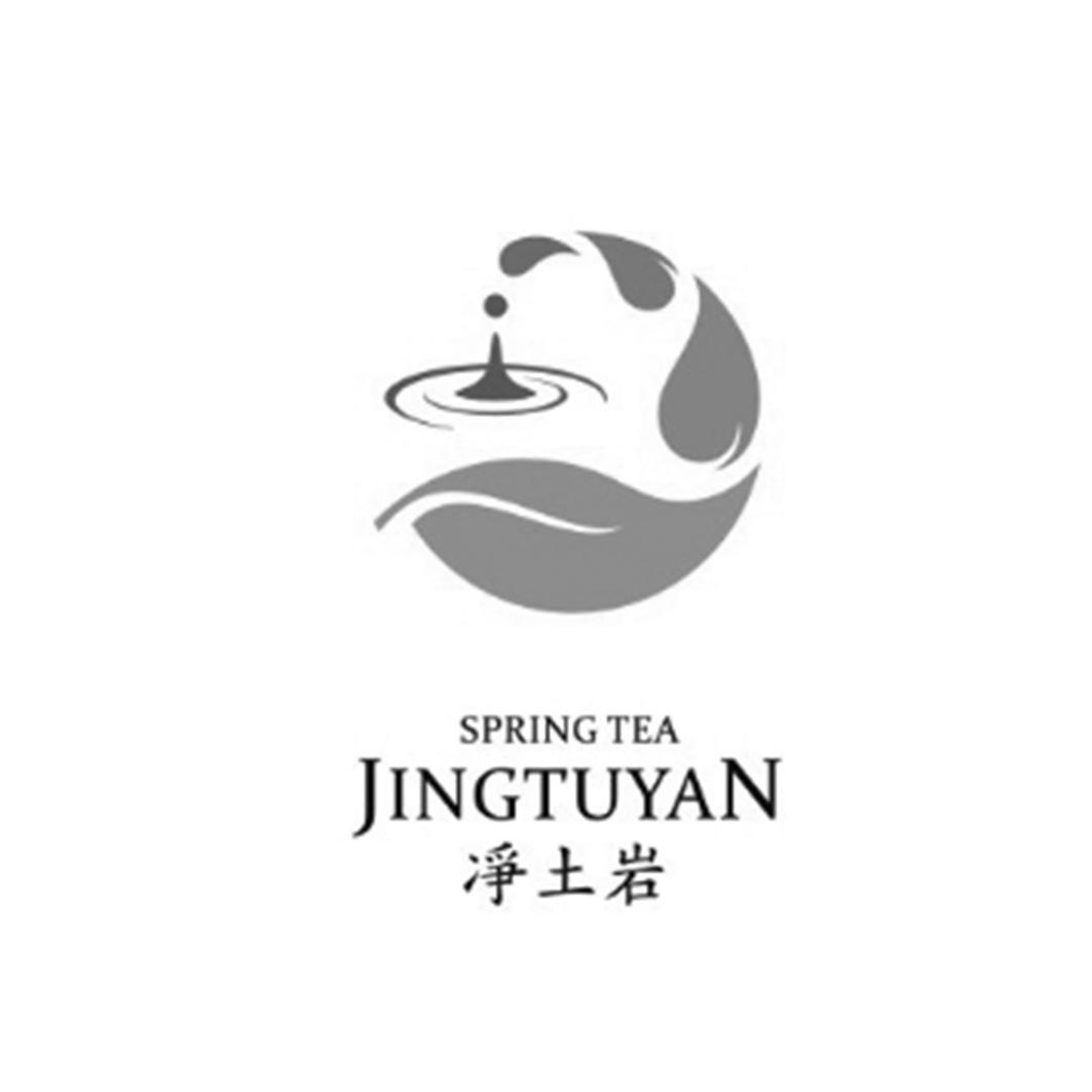 em>净土岩/em jingtuyan spring tea