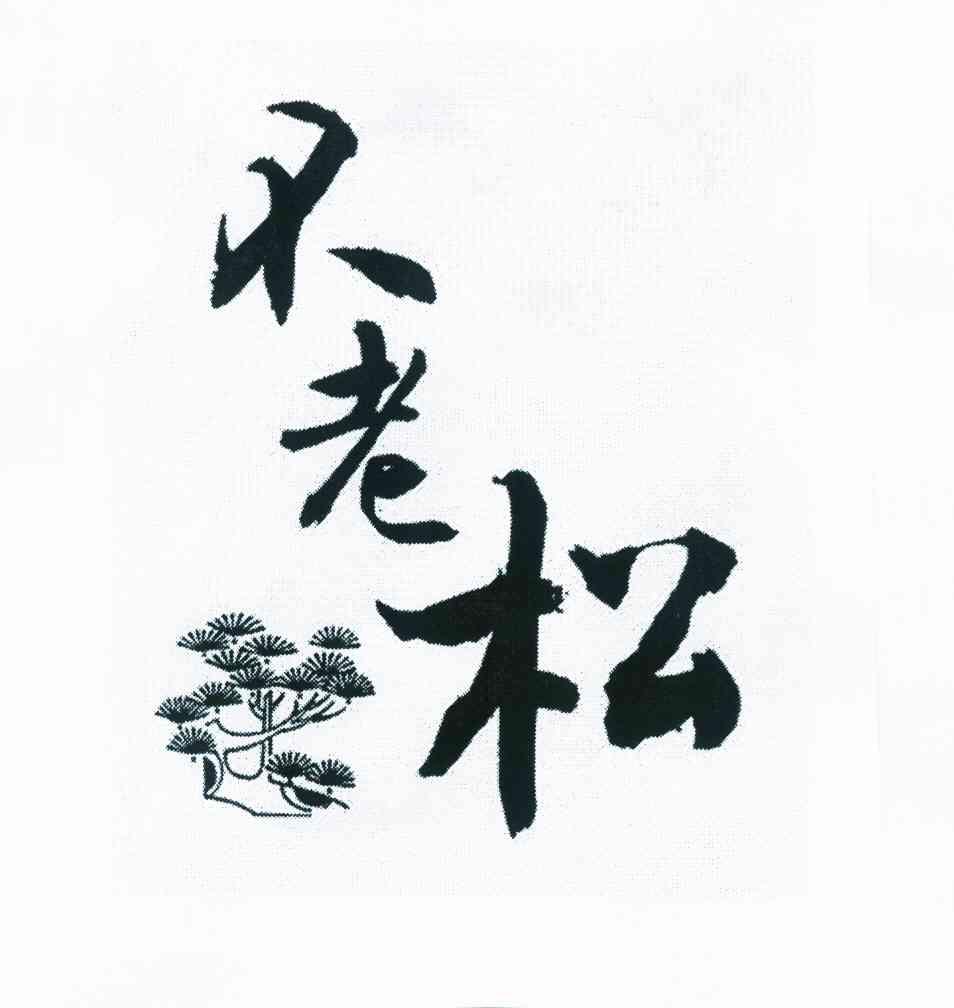不老松                                    