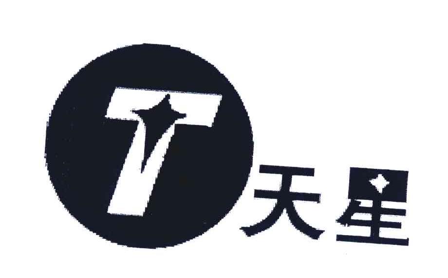 天星;t