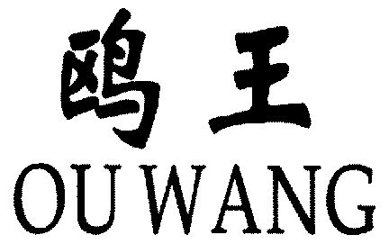  em>鸥王 /em>