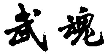  em>武魂 /em>