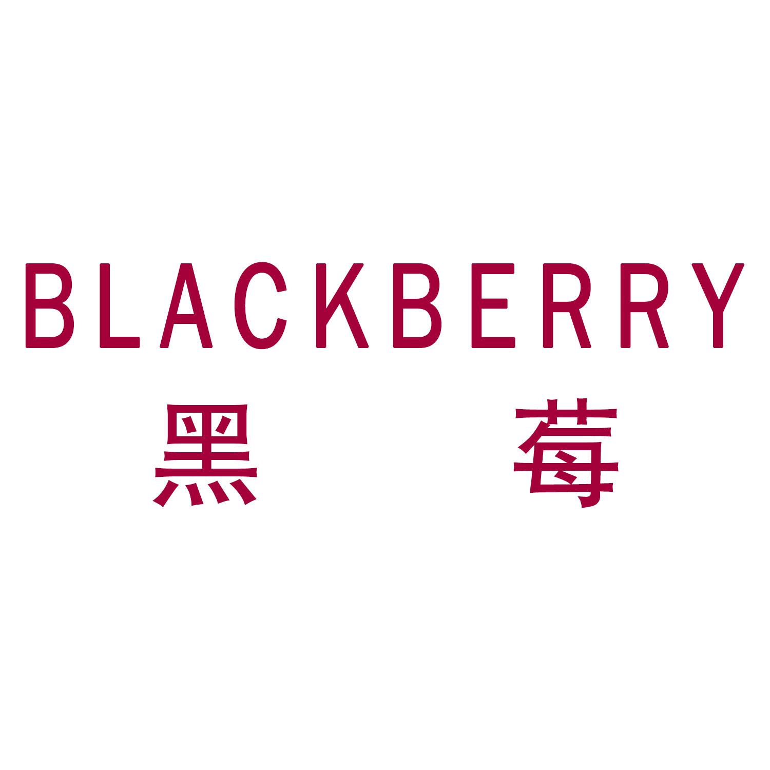  em>黑莓 /em>  em>blackberry /em>