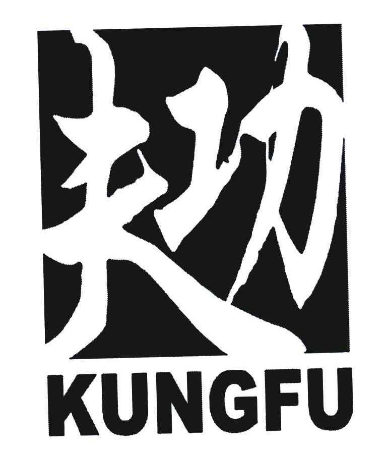  em>功夫 /em>; em>kungfu /em>