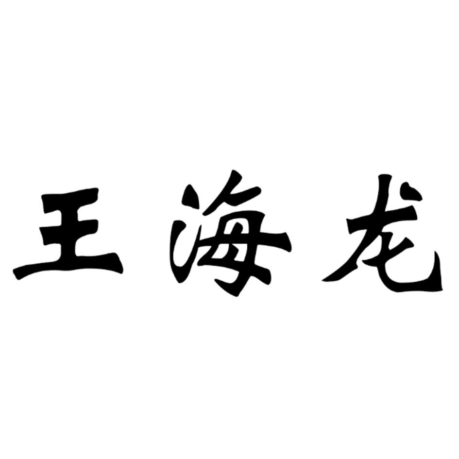  em>王海龙 /em>