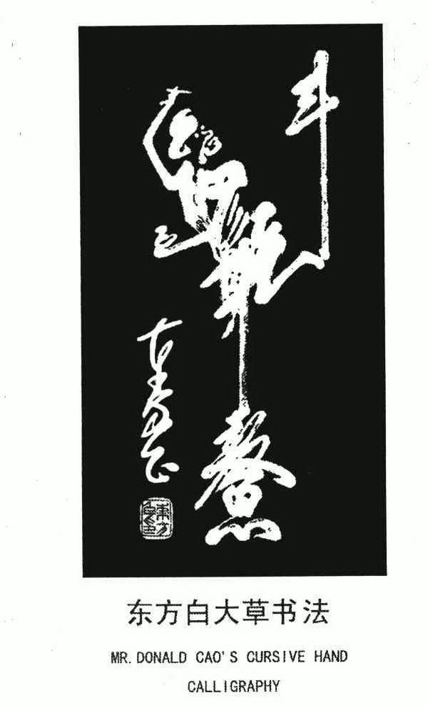 东方白大草书法;斗鳌mr.