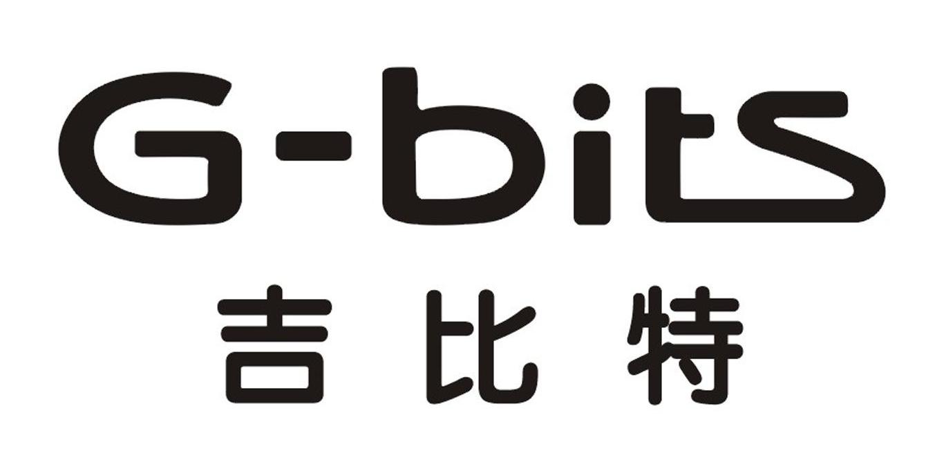  em>吉比特 /em> g-bits