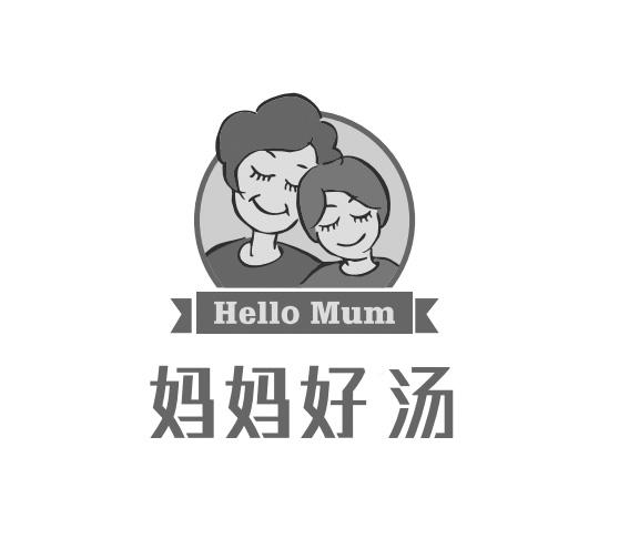 妈妈好汤 hello mum