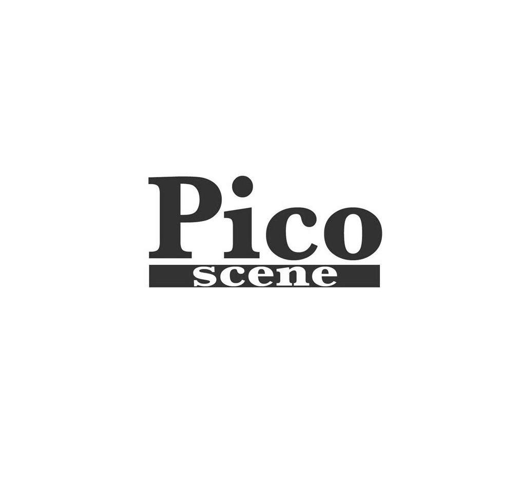 pico scene