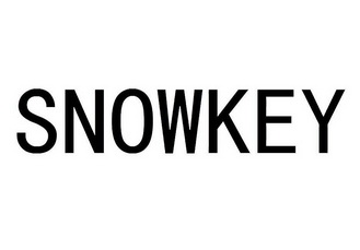 雪人股份logo图片