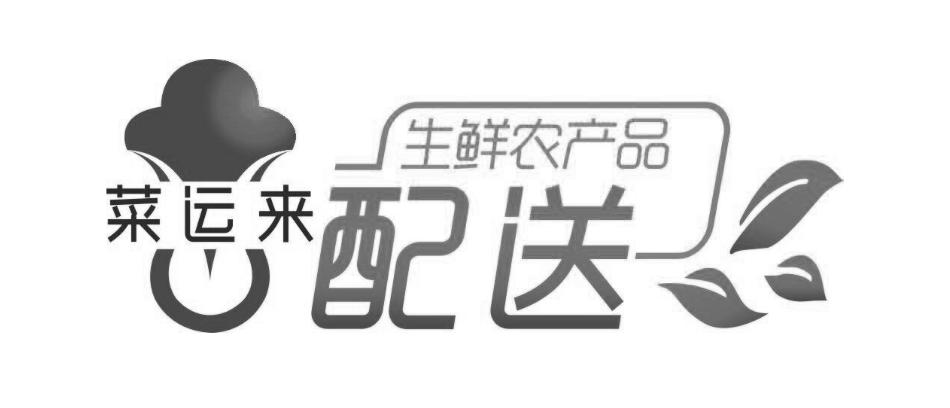 菜运来 生鲜农产品 配送