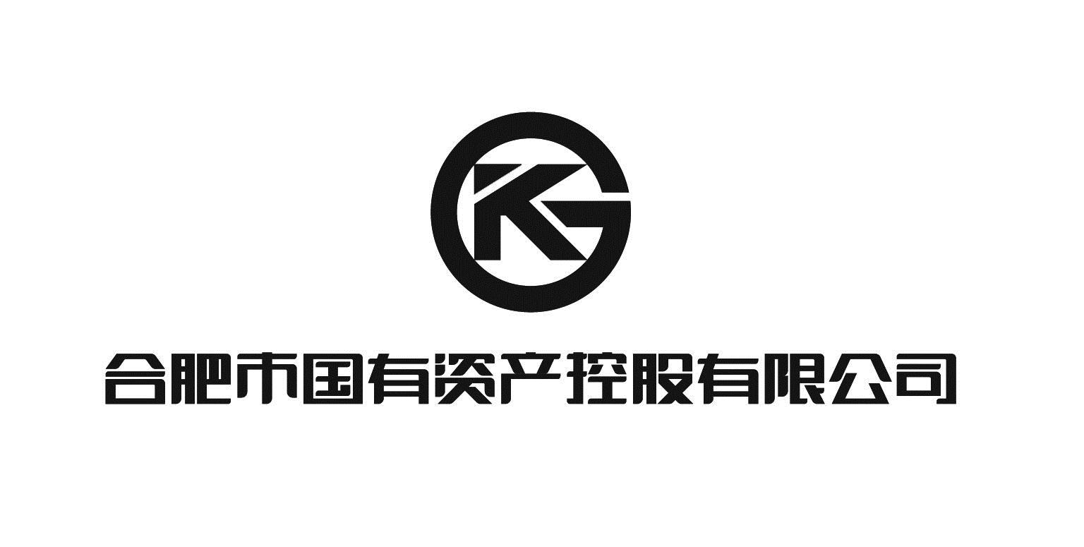  em>合肥市 /em> em>国有 /em> em>资产 /em> em>控股 /em> em>有限