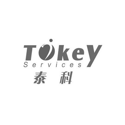 泰科 tikey services                       