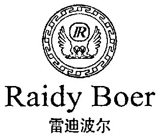 雷迪波尔;raidy boer                       