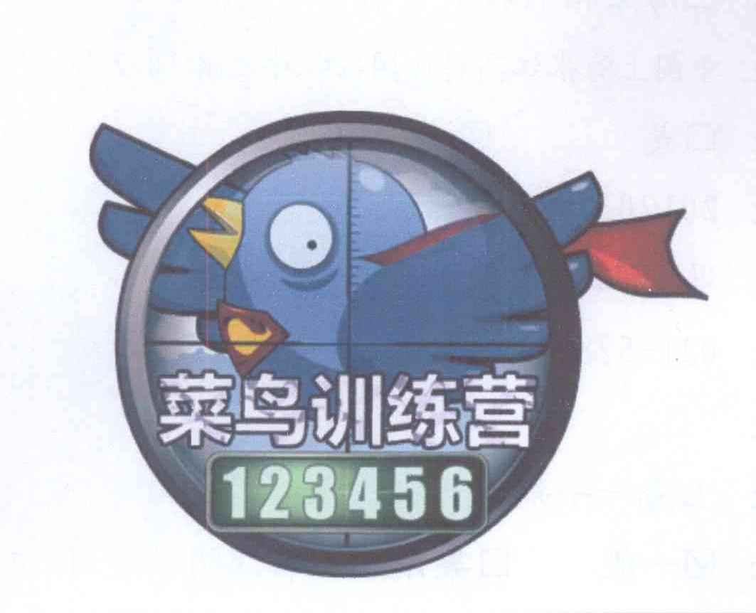  em>菜鸟 /em> em>训练 /em> em>营 /em>